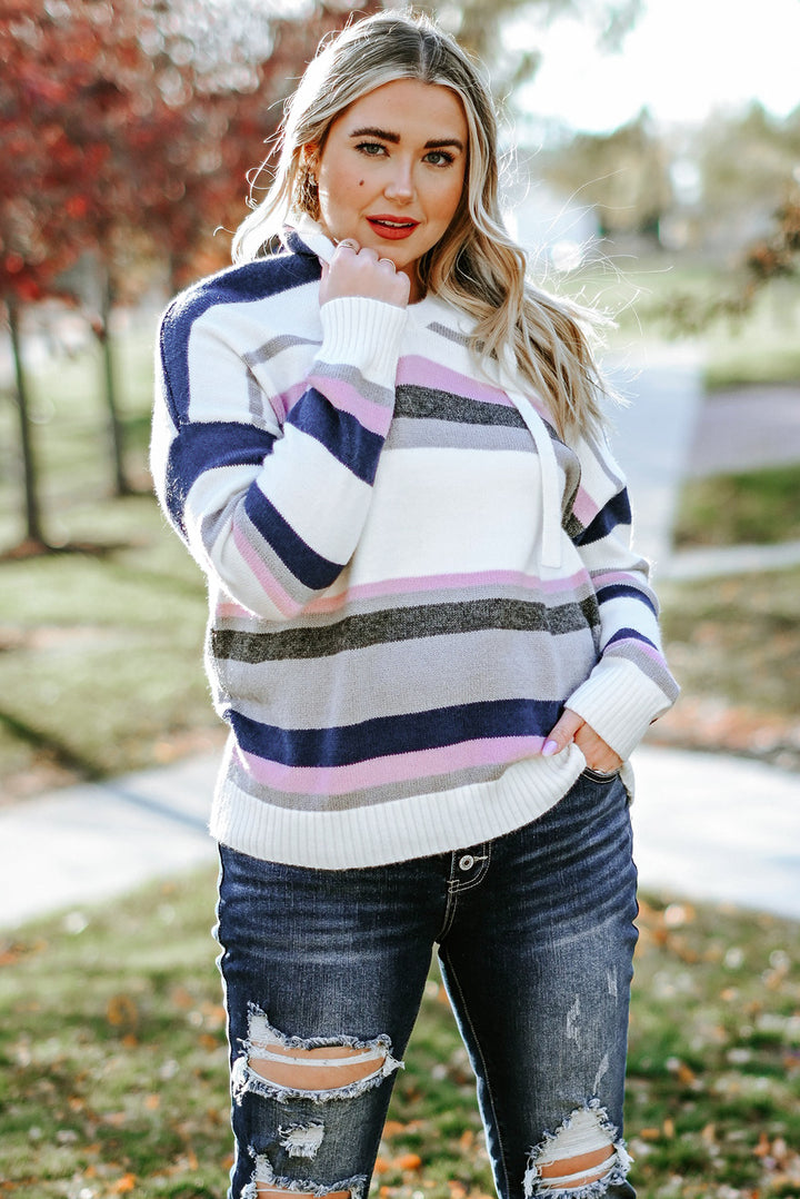 Stripe Plus Size Striped Hooded Knit Sweater-Lastshoppingexit